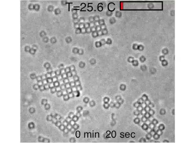 Shape Sensitive Crystallization In Colloidal Superball Fluids Pnas