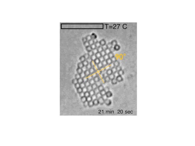 Shape Sensitive Crystallization In Colloidal Superball Fluids Pnas