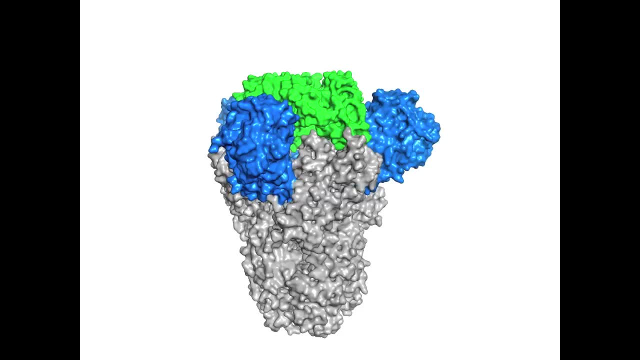 Immunogenicity And Structures Of A Rationally Designed Prefusion