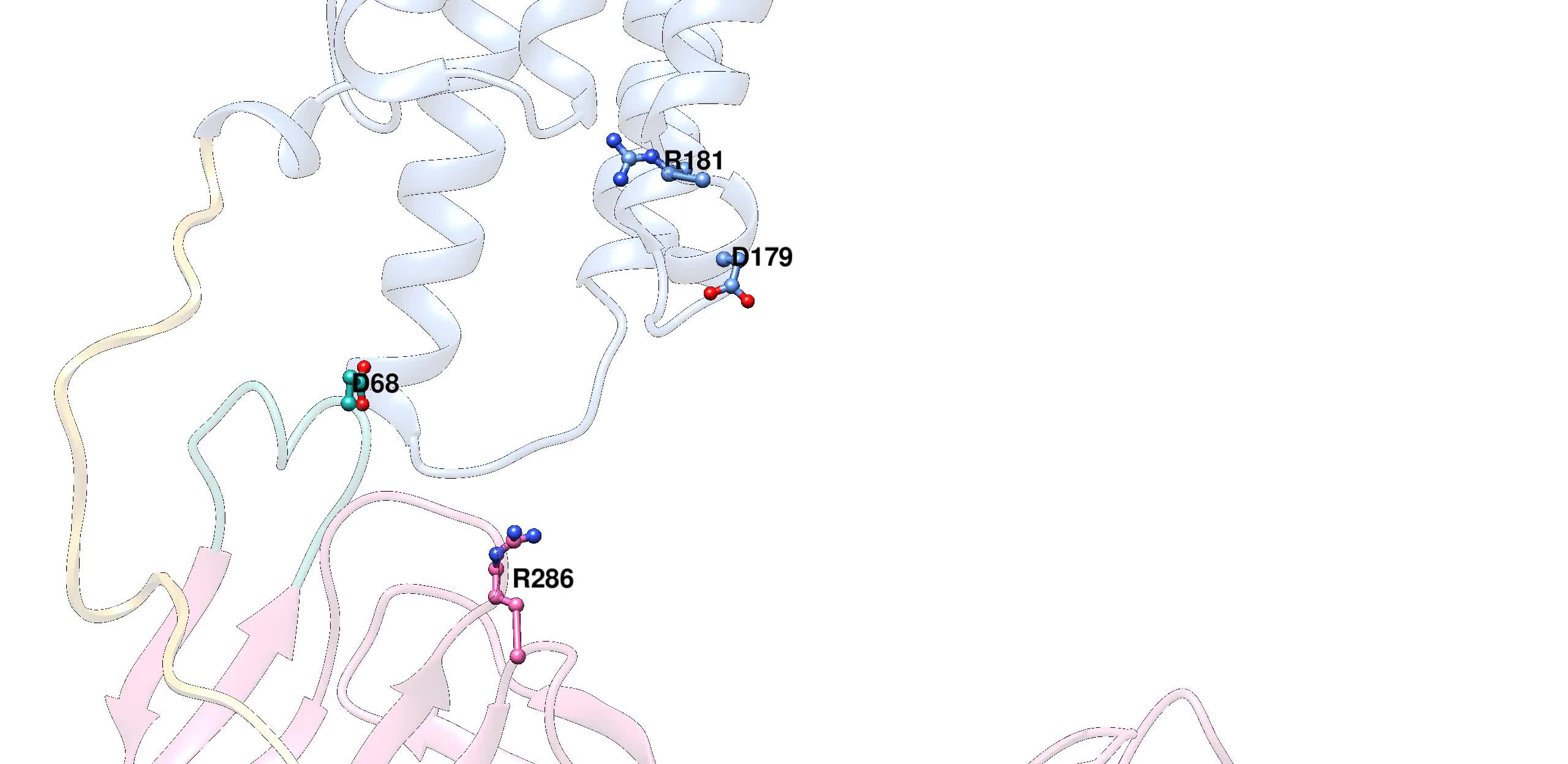 Mechanism Of B Arrestin Recruitment By The M Opioid G Protein Coupled Receptor Pnas