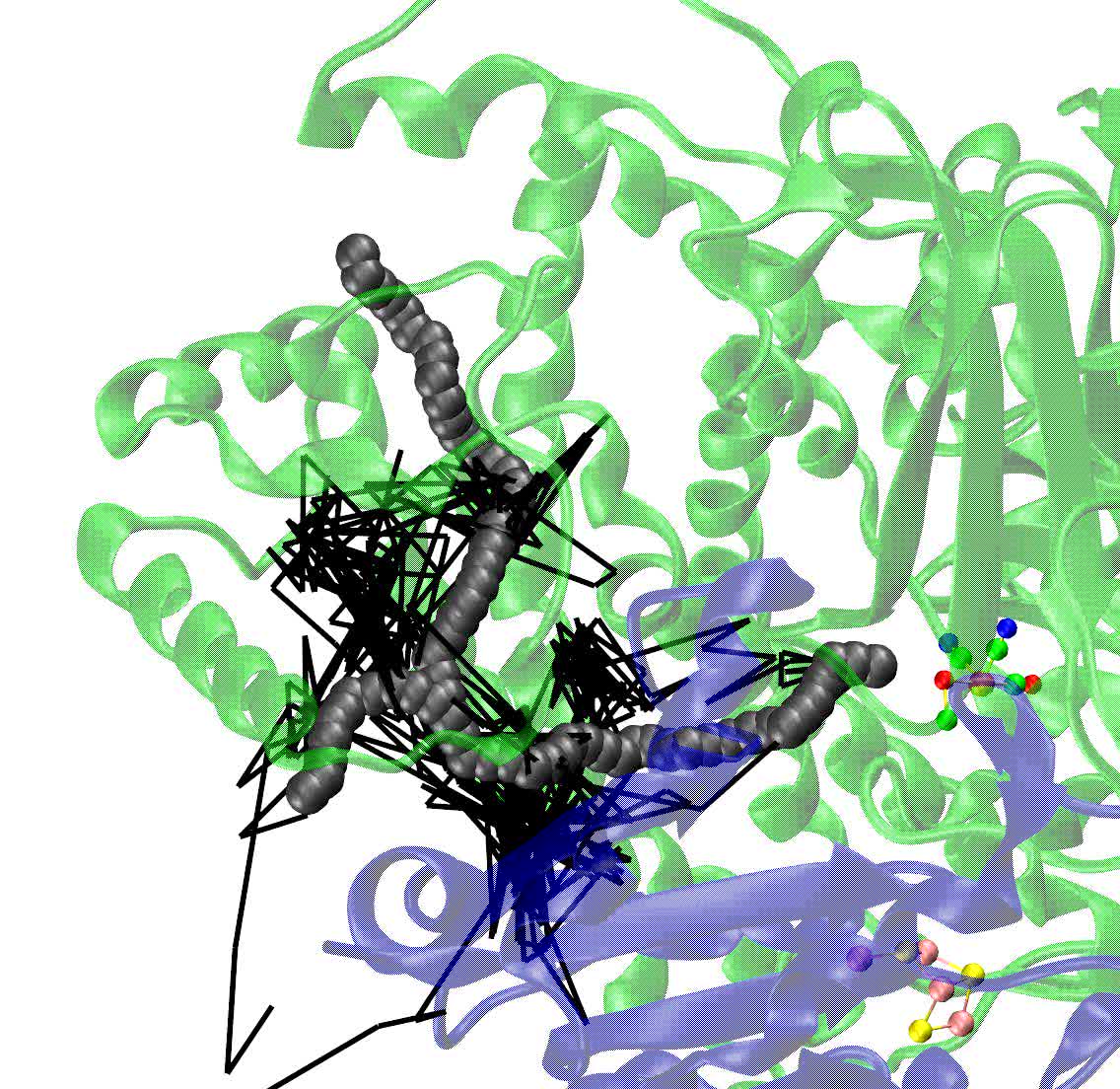 Tracking The Route Of Molecular Oxygen In O2 Tolerant - 