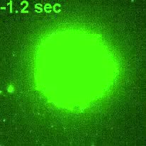 alcamz 楽天市場】【2/20は抽選で100%ポイントバック】サイクルキャリア 2台積み YAKIMA ヤキマ 正規品 EXO DoubleUp  EXOダブルアップ : オートプロズ 楽天市場店