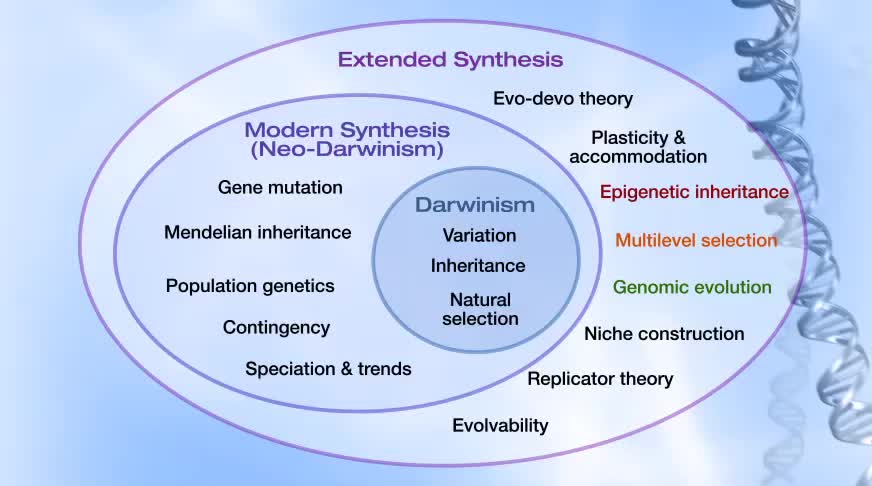 neo-Darwinism: a new conceptual framework | Journal of Experimental Biology | The Company Biologists